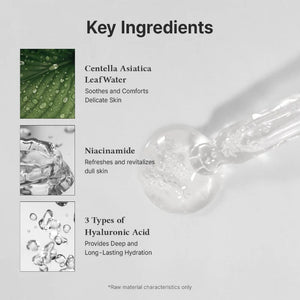 Vitamin C Boosting Serum Renewed key ingredients