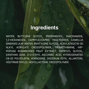     Gentle Vitamin C Serum ingredients 